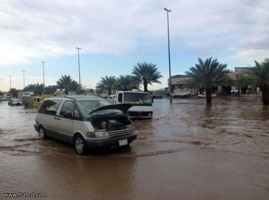  الدفاع المدني بالمدينة المنورة يباشر 75 بلاغاً عقب الأمطار