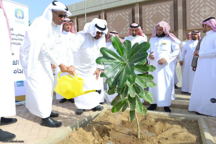 مدير جامعة طيبة يدشن مبادرة إثراء الغطاء النباتي.