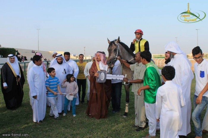 "تغطية مصورة"منافسات الحفل الحادي عشر لسباقات الخيل للموسم الحالي 1435هـ 