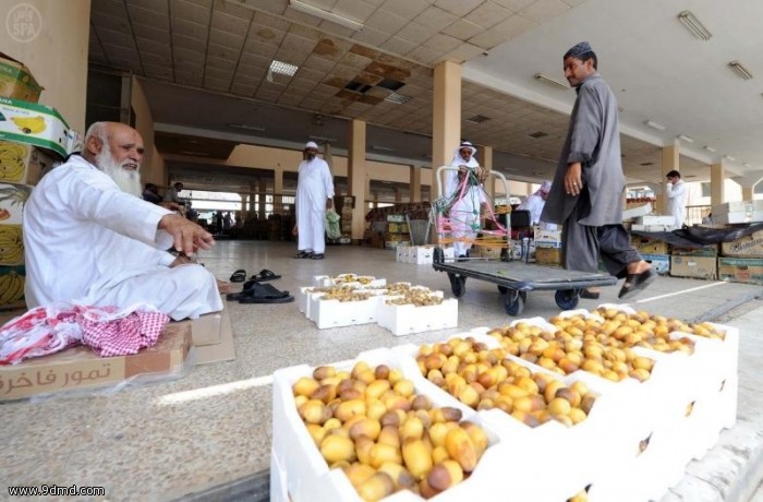 المدينة المنورة تستقبل طلائع موسم الرطب