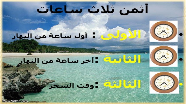 نادي التربية والتعليم (بنات) يختتم أنشطته ببرنامج  ( إجازتي وشهر الخير ) 