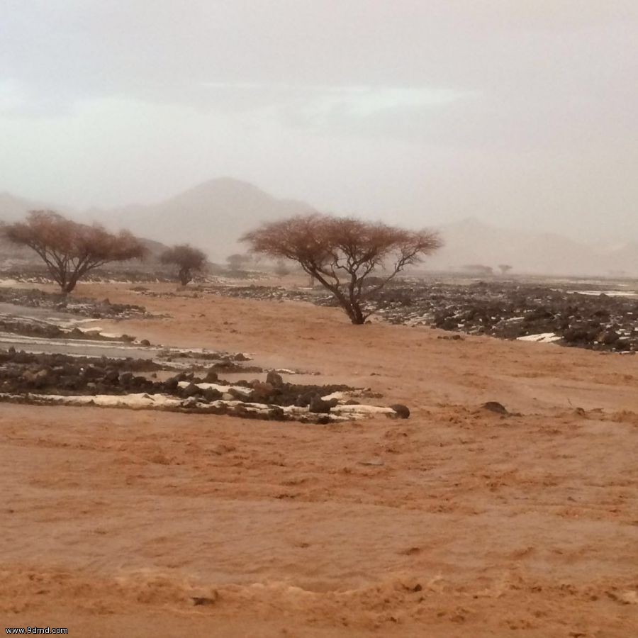 عاجل مدني المدينة ينبه المسافرين  الى محافظة العلا عبر الطريق الزراعي