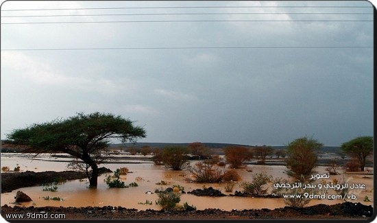  أمطار شمال المدينة المنورة 1433/12/25 هـ