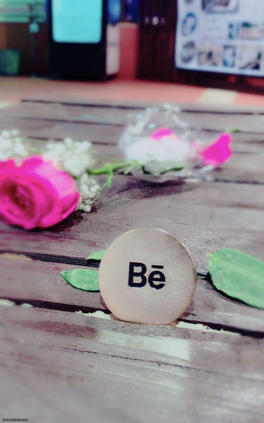 بالصور - #بيهانس ساعات قليلة استوطنت القلوب